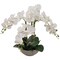 2-Pack 20" White Phalaenopsis Orchids | Faux Flowers in Round Grey Pots – Elegant Decor for Home & Office